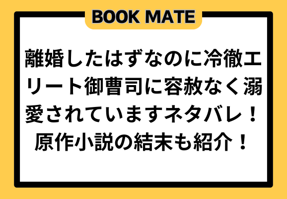 離婚したはずなのに冷徹エリート御曹司に容赦なく溺愛されていますネタバレ！原作小説の結末も紹介！